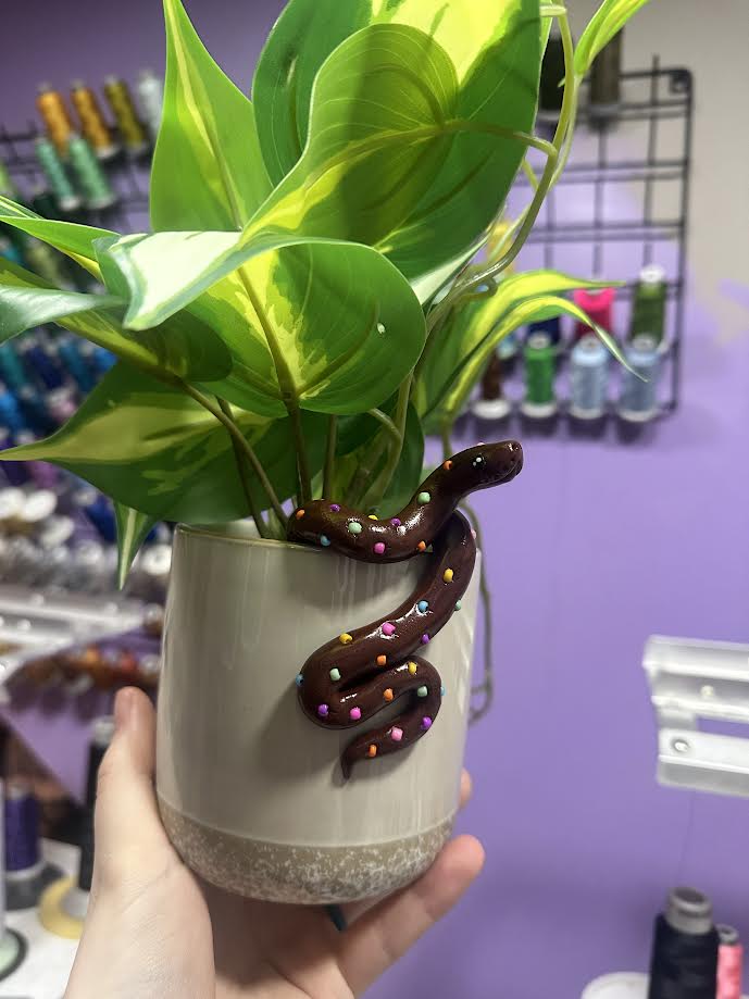 Cosmic Brownie Plant Pal