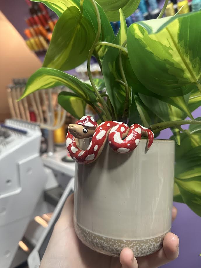 Mushroom Boi with Mushroom Hat Plant Pal