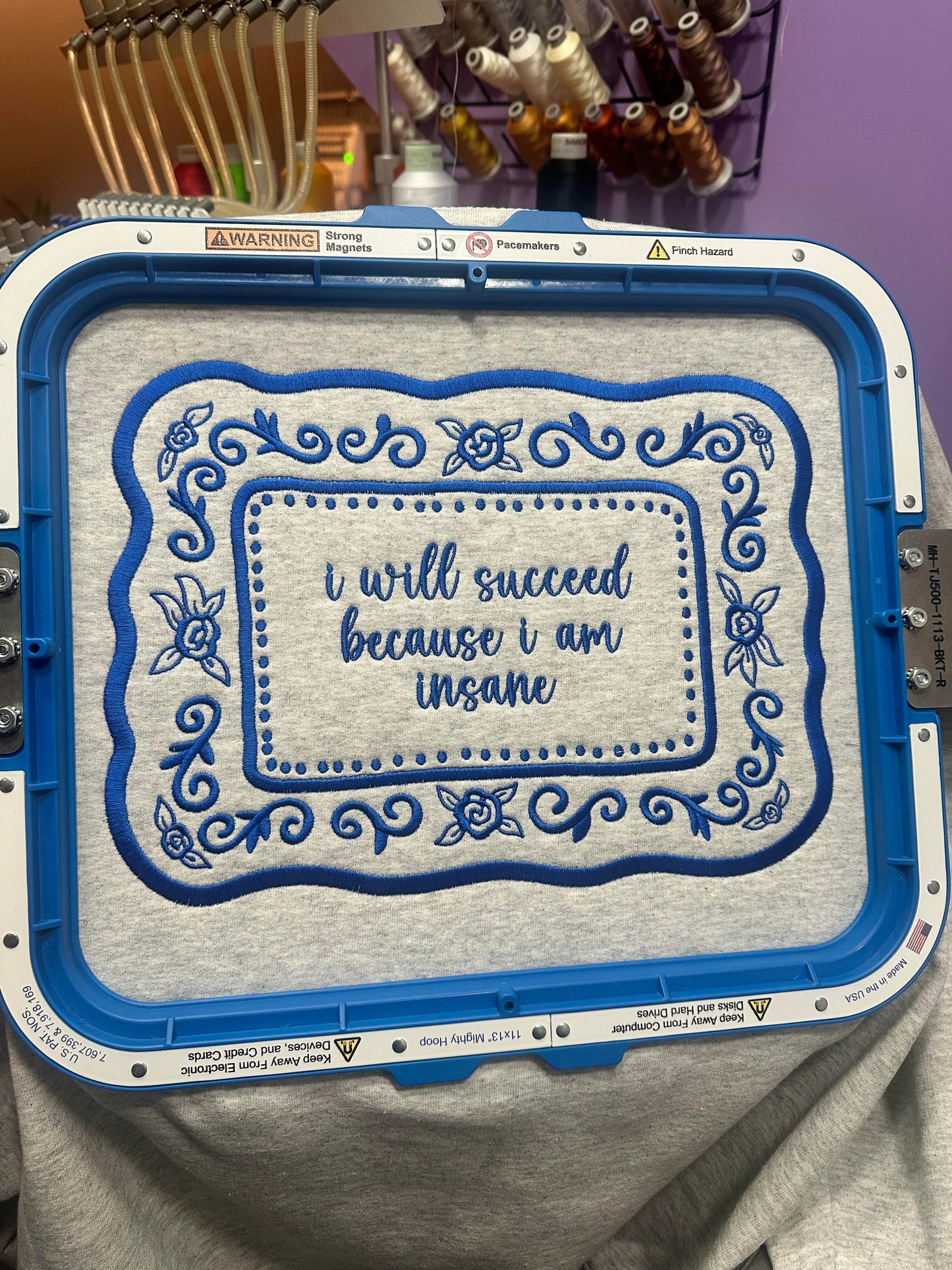 I Will Succeed Because I am Insane Crewneck